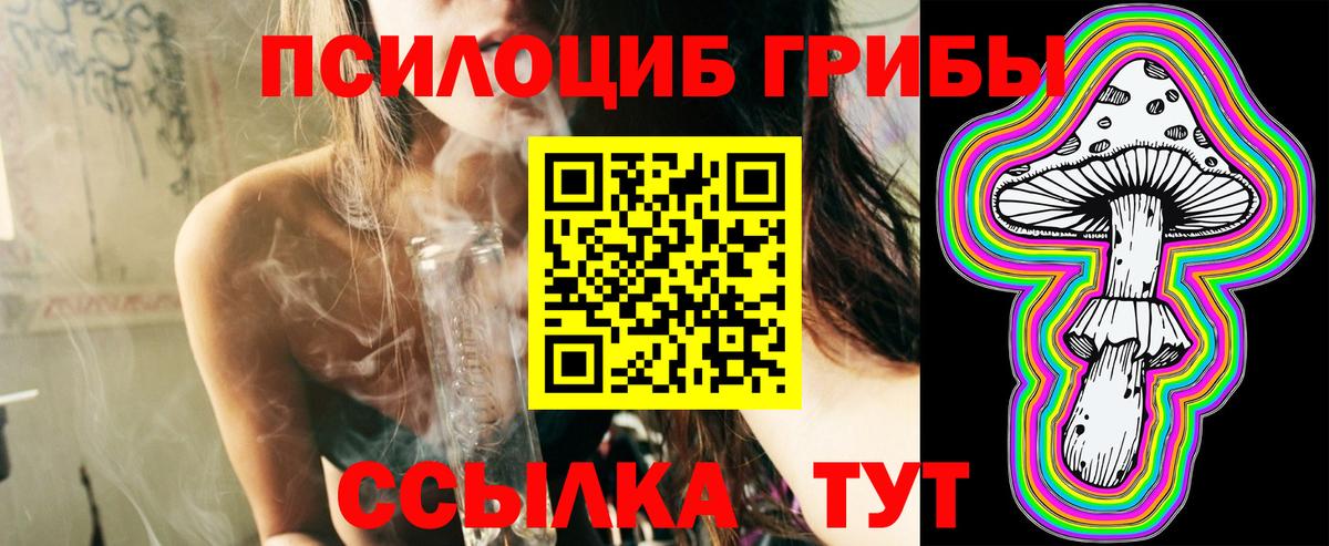Галлюциногенные грибы MAGIC MUSHROOMS  Вход с VPN  Галлюциногенные грибы Cubensis  даркнет сайт  Волоколамск 