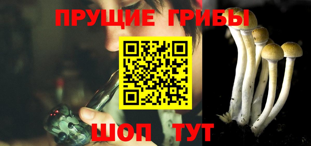 Псилоцибиновые грибы MAGIC MUSHROOMS Волоколамск
